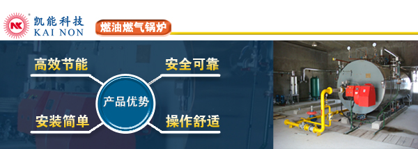 燃油燃?xì)忮仩t專業(yè)制造商凱能科技