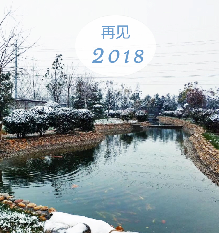 再見2018