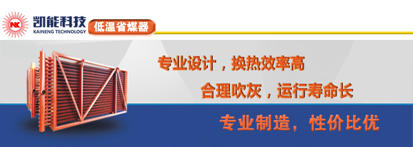 電廠低溫省煤器制造廠家青島凱能